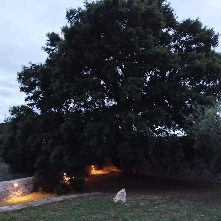 Trulli La Quercia Del Nonno Villa Locorotondo Kültér fotó