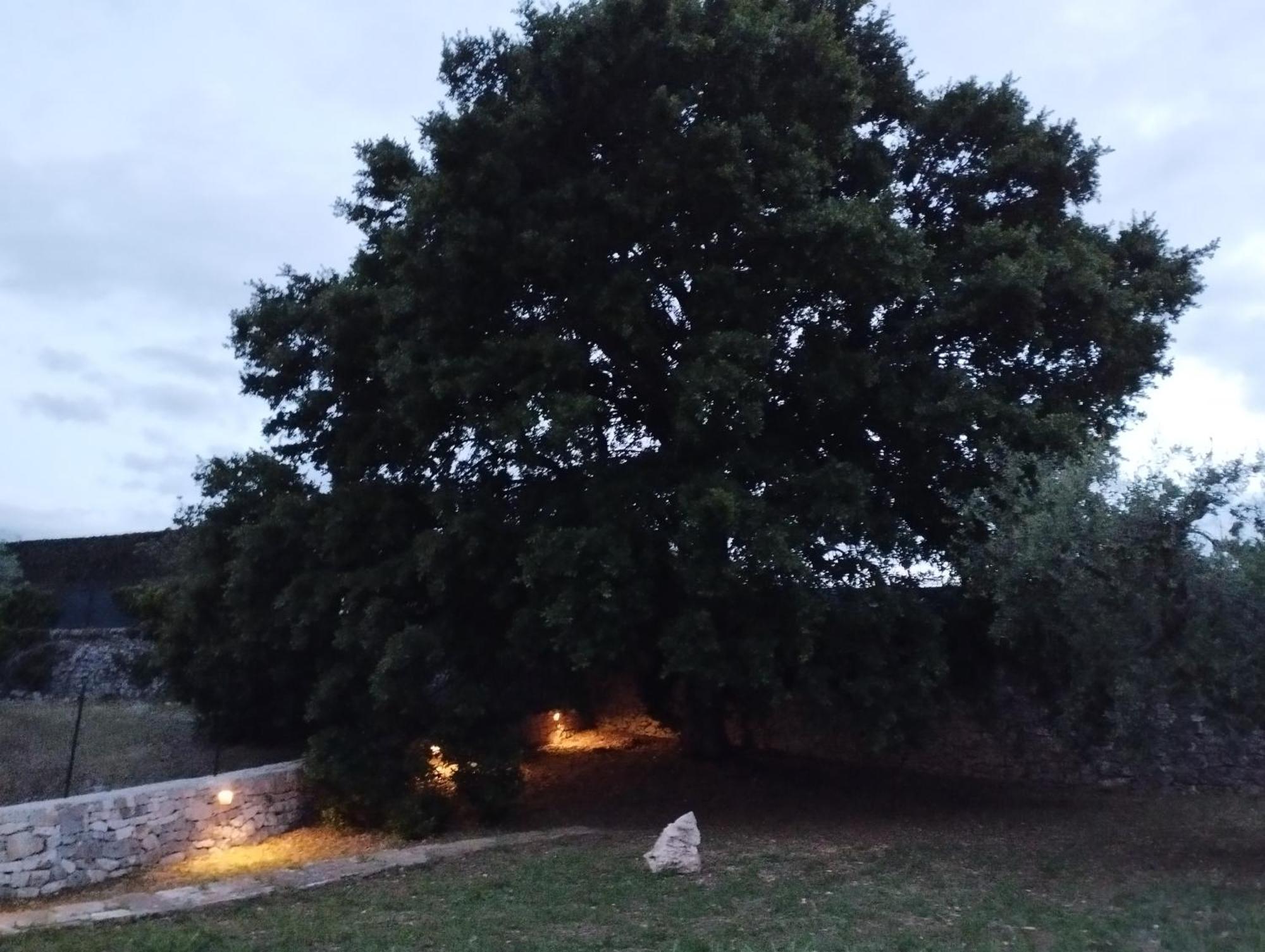 Trulli La Quercia Del Nonno Villa Locorotondo Kültér fotó